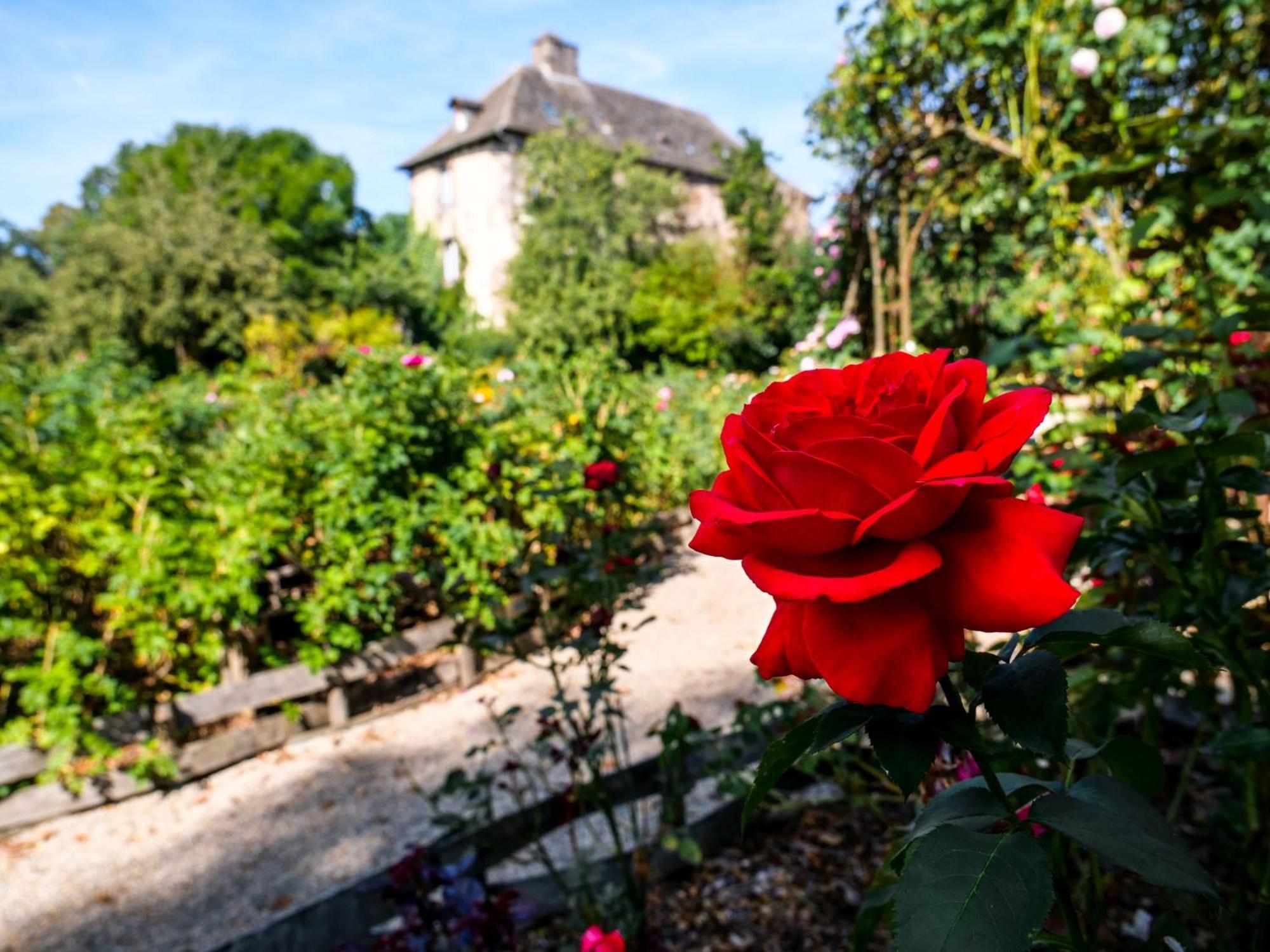 Chateau De Taussac Bed and Breakfast Mur-de-Barrez Buitenkant foto