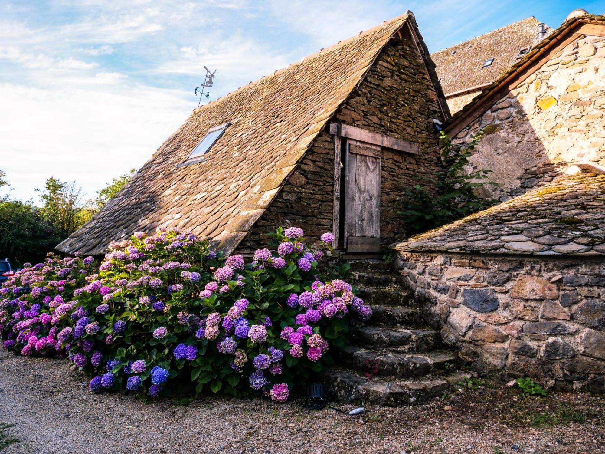 Chateau De Taussac Bed and Breakfast Mur-de-Barrez Buitenkant foto