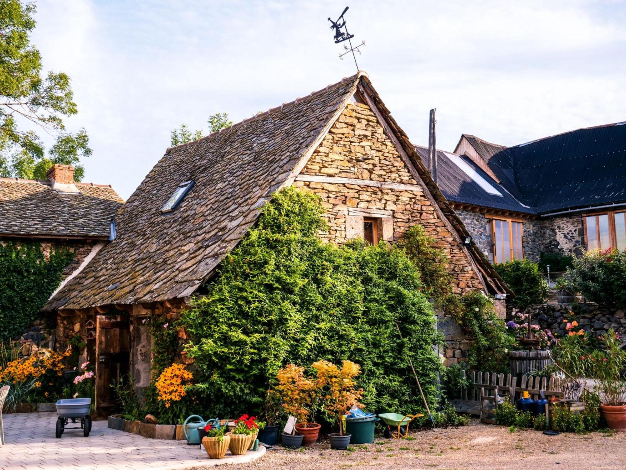 Chateau De Taussac Bed and Breakfast Mur-de-Barrez Buitenkant foto